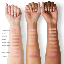 Load image into Gallery viewer, Blush