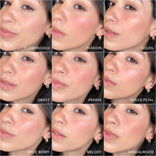 Load image into Gallery viewer, Blush