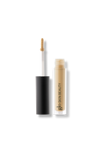 Load image into Gallery viewer, Concealer Shade: Golden
